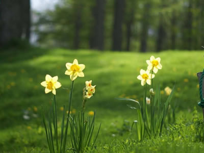 宏光MINIEV四门版续航301km车型上市，置换补贴惊喜价5.28万元